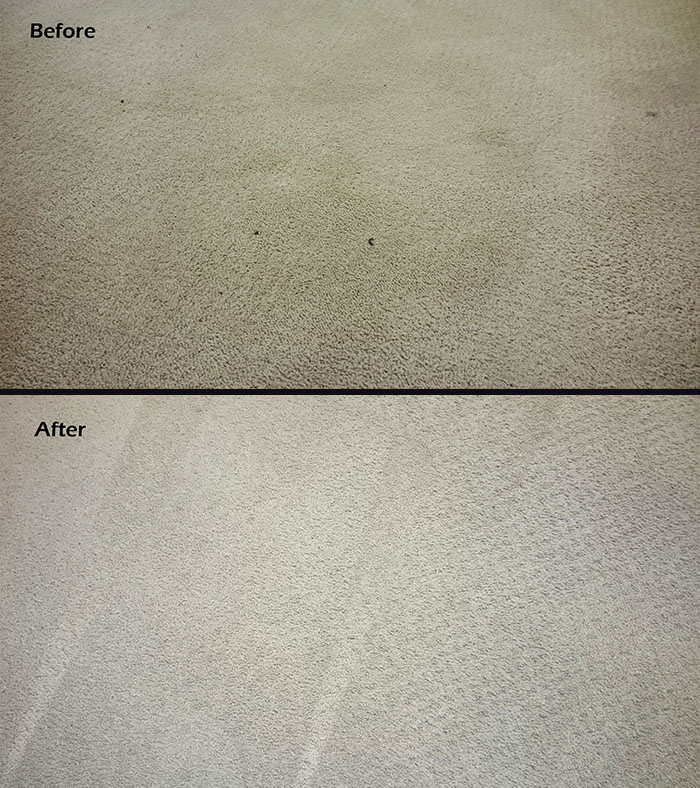 Carpet Cleaning Kalgoorlie